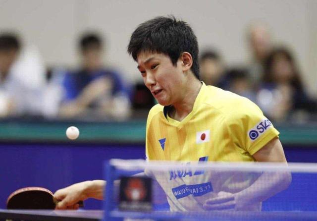 学术成绩 学术成绩