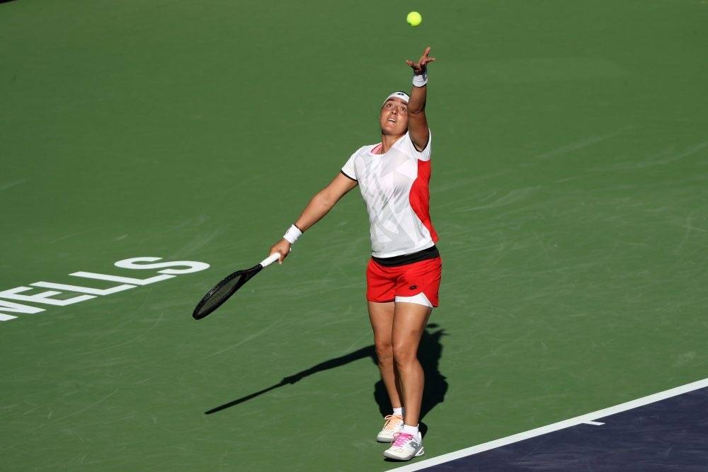 土耳其新星 土耳其新星